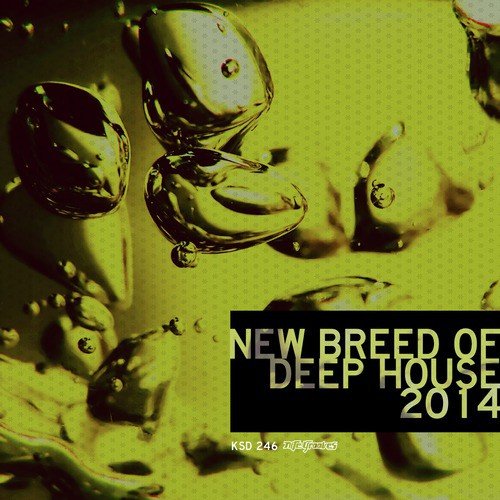 New Breed of Deep House Vol. 3