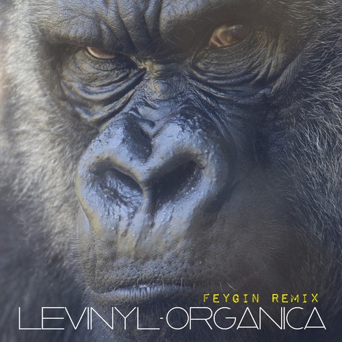 Organica - 2 cover art