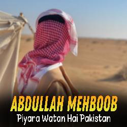 Piyara Watan Hai Pakistan-RlgfCUdUXWM