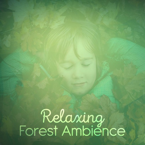 Relaxing Forest Ambience