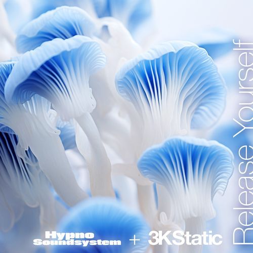 Release Yourself (3KStatic Remix) cover art