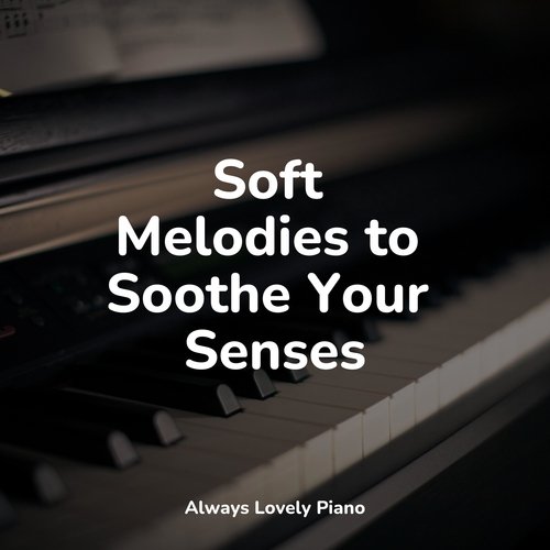 Soft Melodies to Soothe Your Senses