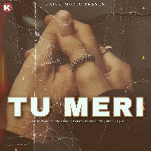 Tu Meri