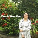 Tum Jo Mere Ho
