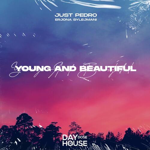 Young And Beautiful_poster_image