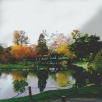 the poison of your love