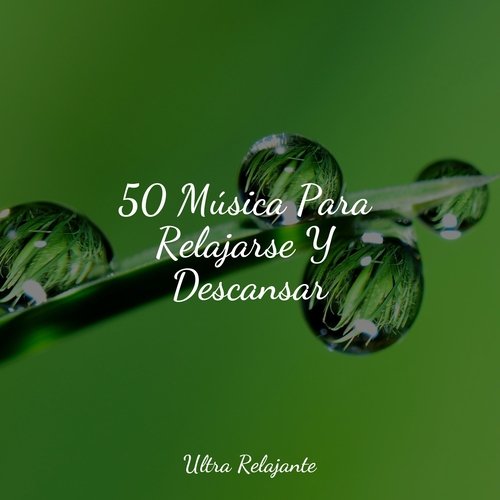 50 Música Para Relajarse Y Descansar