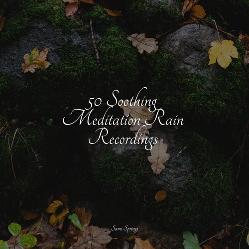 Rain, Storm and Thunder cover art