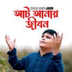 Aat Anar Jibon