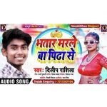 BHATAR MARALE BA PIDA SE (Bhojpuri Lookgeet)