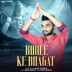 Bhole Ke Bhagat
