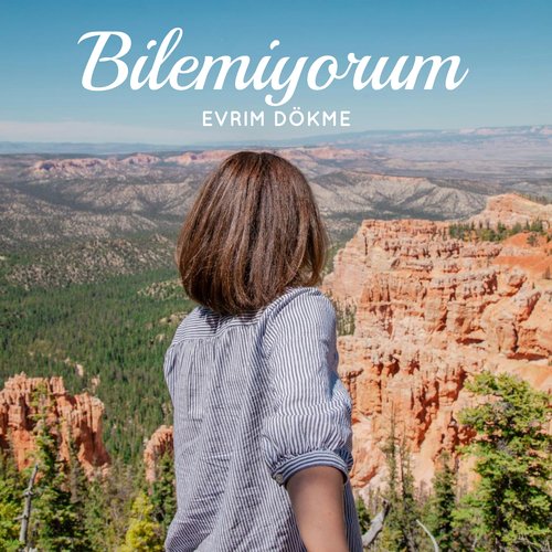Bilemiyorum cover art