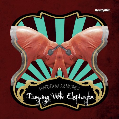 Dancing With Elephants