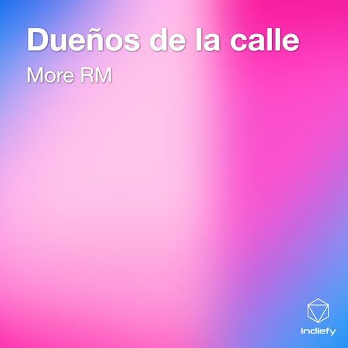 Dueños de la calle cover art