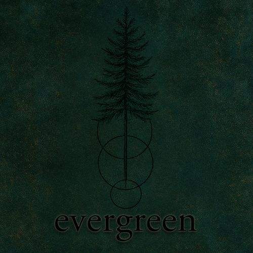 Evergreen