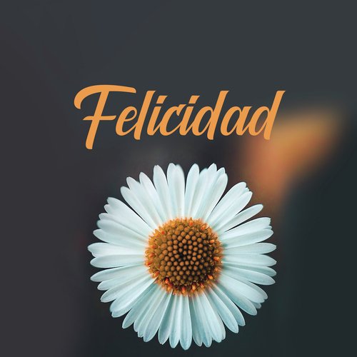 Felicidad_poster_image