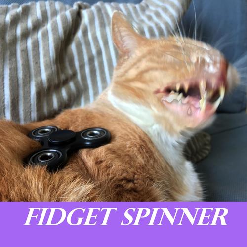 Fidget Spinner - Song Download from Fidget Spinner @ JioSaavn