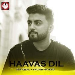 Haavas Dil-FlE7bjZAdUk