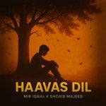 Haavas Dil