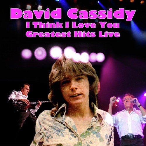 I Think I Love You - Greatest Hits Live