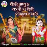 Keshe Avu Me Kanha Teri Gokul Nagari