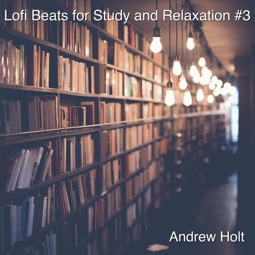 Lofi Beats for Study and Relaxation #3