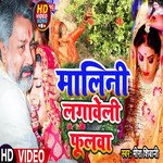 malini lagaveli fulava