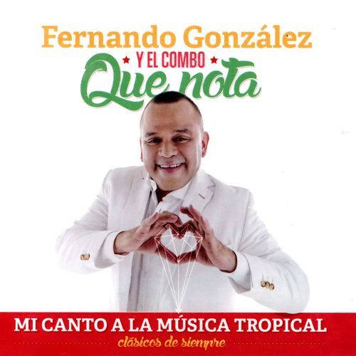 Homenaje a Rodolfo Aicardi (Fiesta en Diciembre, Cumbia de Diciembre, Fiesta de Mi Pueblo) cover art