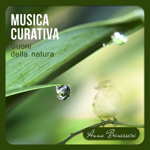 Asiatico zen spa cover art