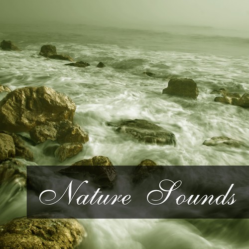 Nature Sounds – Sounds for Better Feeling, Healing Nature, Soft Waves, Calming Music