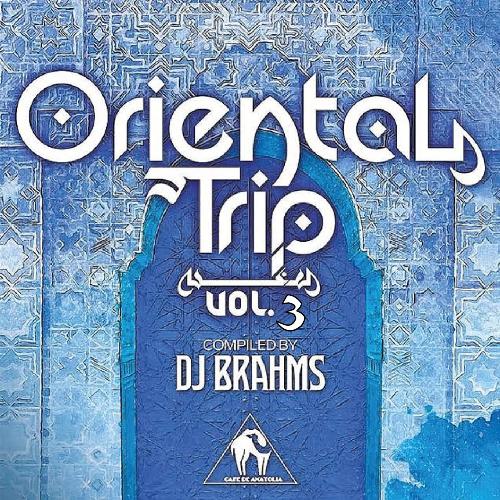 Oriental Trip, Vol. 3 (Compiled by DJ Brahms)_poster_image