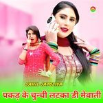 पकड़ के चुन्ची लटका डी मेवाती