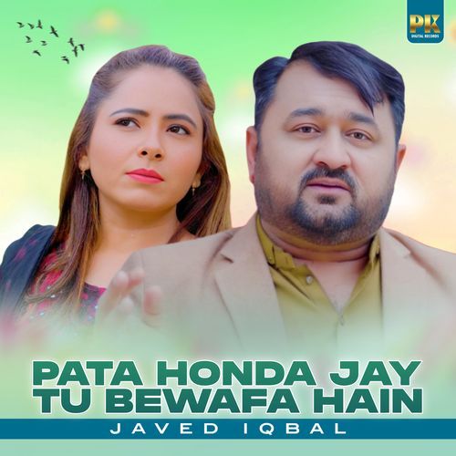 Pata Honda Jo Tu Bewafa Hen