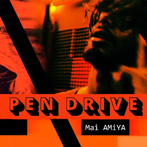 Pen Drive