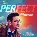 Perfect - Remixed