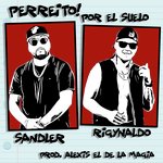 Perreito por el Suelo