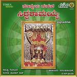Sri Shivayogisha