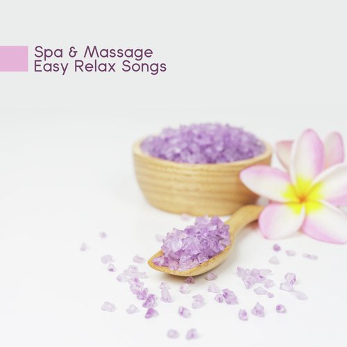 Pure Spa cover art
