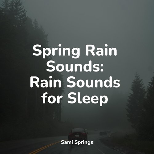 Spring Rain Sounds: Rain Sounds for Sleep_poster_image