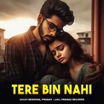 Tere Bin Nahi