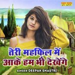 Teri Mehfil Me Aake Hum Bhi Dekhene