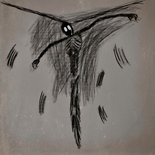 Zimmer cover art
