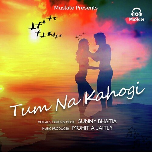 Tum Na Kahogi