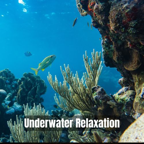 Calm Underwater Drift Relaxation