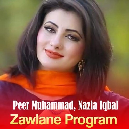 Zawlane Program