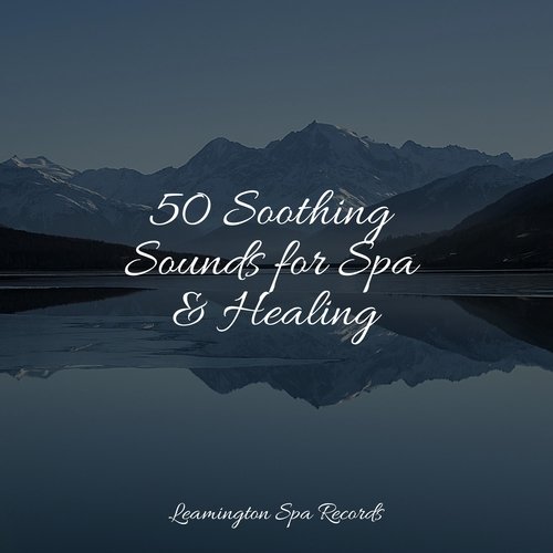 50 Soothing Sounds for Spa & Healing