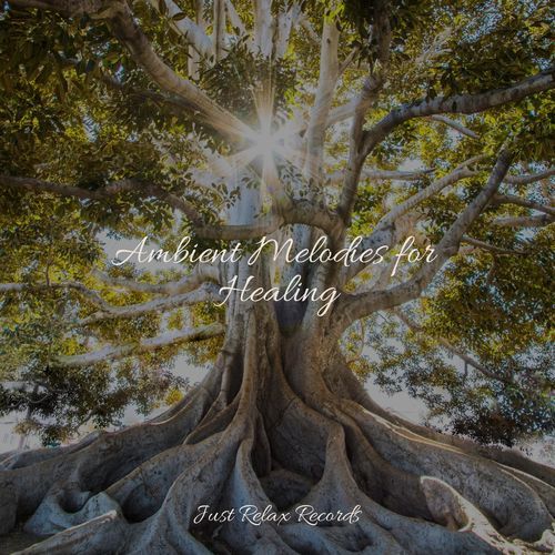 Ambient Melodies for Healing