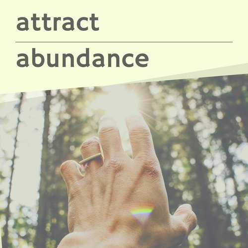 Attract Abundance