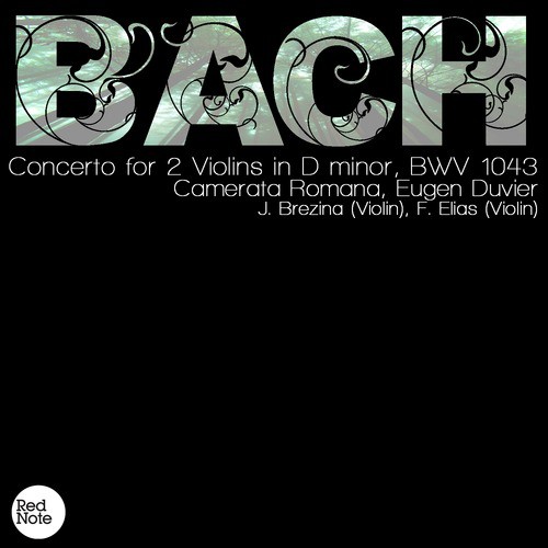 Bach: Concerto for 2 Violins in D minor, BWV 1043_poster_image