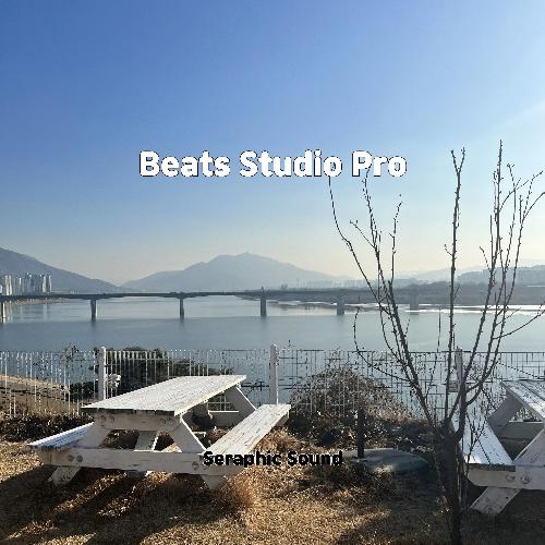 Beats Studio Pro cover art